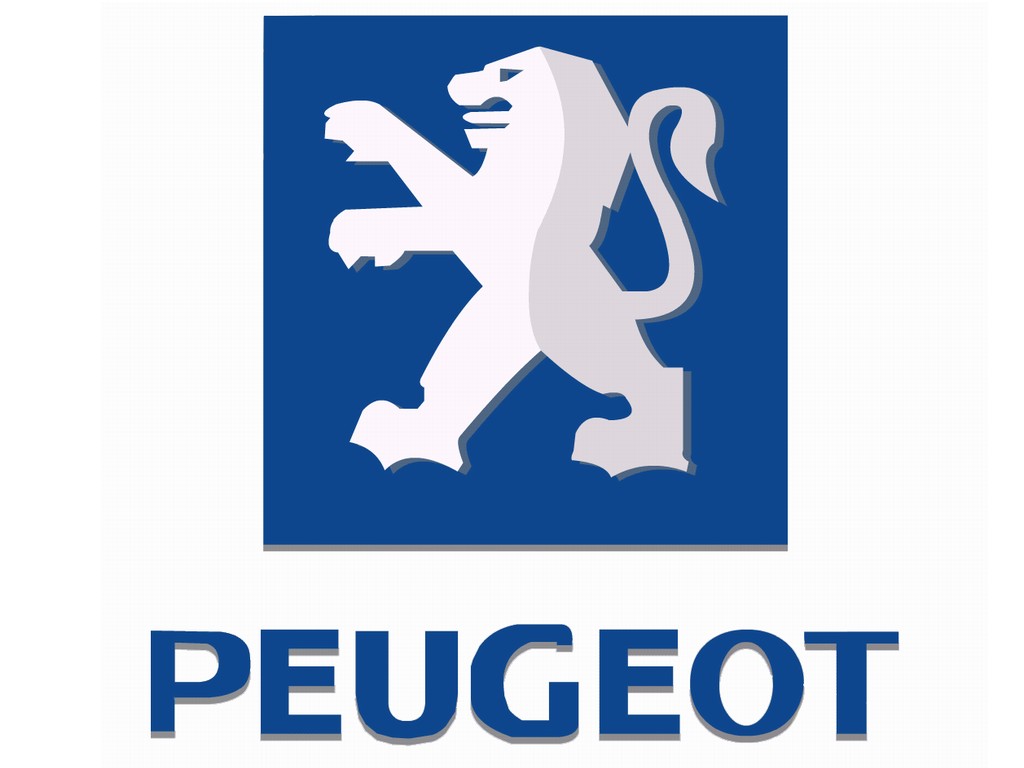 Afbeelding van Kabel gas Peugeot Ludix One orig.
